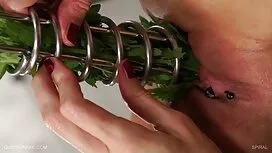 Trắng Burri Trắng ph ...