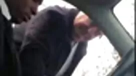 Ẩn trong ngụy trang  ...