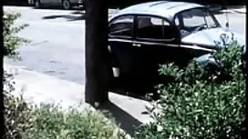 Dầu, dầu, dầu, xoa b ...