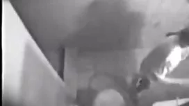 Nghịch ngợm gà phim  ...