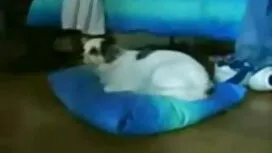 Chị phim xx vlxx 992