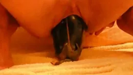 Olson, Tóc phim xx h ...